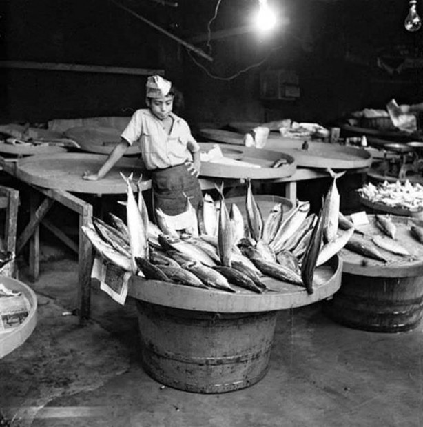 Foto - İstanbul Boğazı bir zamanlar balık doluydu