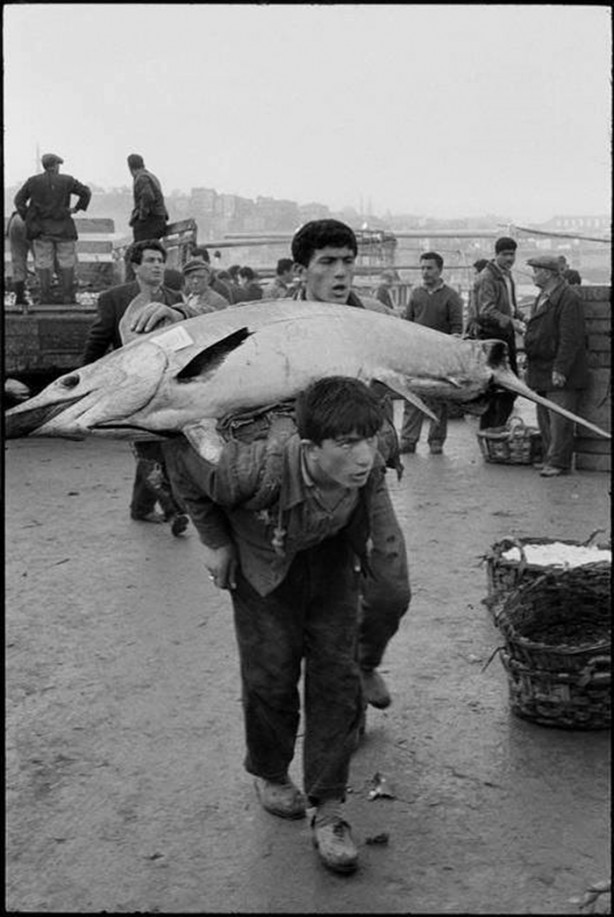 Foto - İstanbul Boğazı bir zamanlar balık doluydu