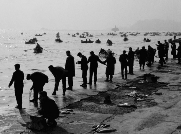 Foto - İstanbul Boğazı bir zamanlar balık doluydu