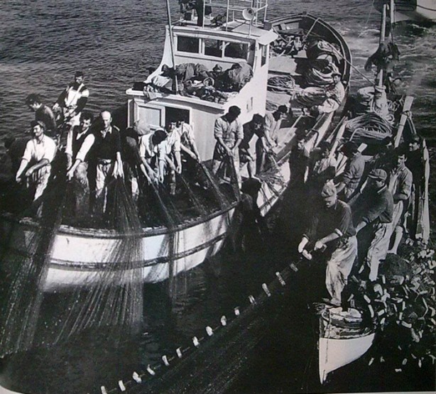 Foto - İstanbul Boğazı bir zamanlar balık doluydu