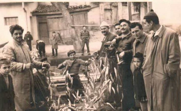 Foto - İstanbul Boğazı bir zamanlar balık doluydu
