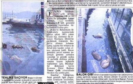 Foto - İstanbul Boğazı'nın altında 22 bin koyun var! Yürekleri burkan hikaye