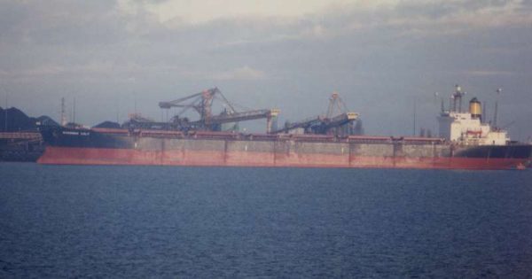 Foto - İstanbul Boğazı'nın altında 22 bin koyun var! Yürekleri burkan hikaye