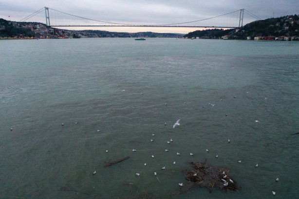 Foto - İstanbul Boğazı'nın rengi değişti!
