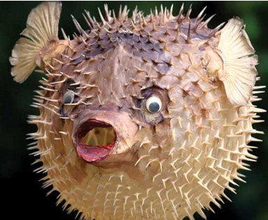 Foto - İstanbul, Bursa'ya ve birçok il için büyük istila başladı! Flaş bir haber, böyle duyuruldu: Tarih verildi, o tarihte giriş yapacak