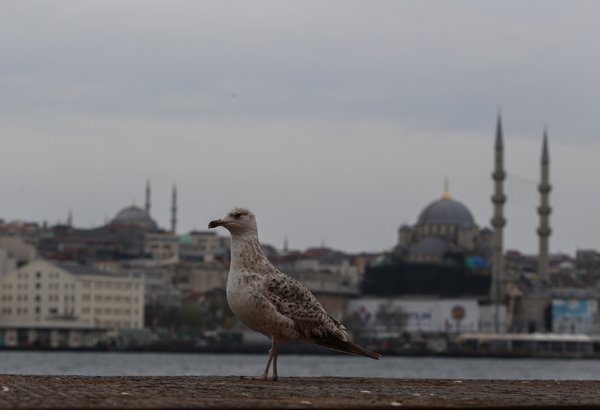 Foto - İstanbul hiç böyle olmamıştı