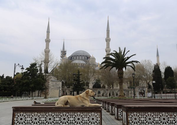 Foto - İstanbul hiç böyle olmamıştı