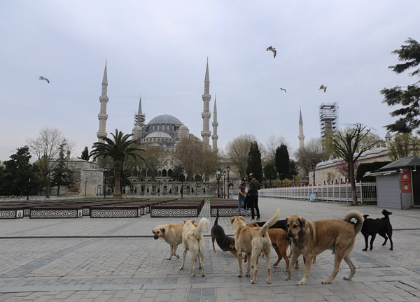 Foto - İstanbul hiç böyle olmamıştı