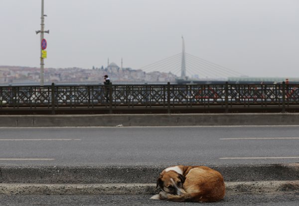 Foto - İstanbul hiç böyle olmamıştı