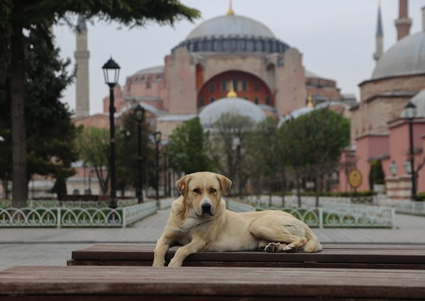 Foto - İstanbul hiç böyle olmamıştı