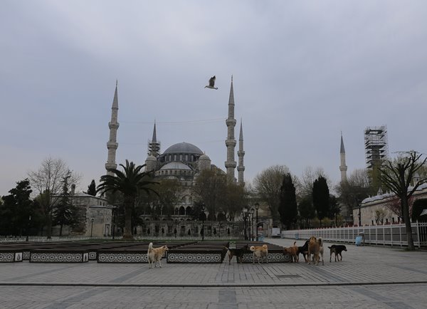 Foto - İstanbul hiç böyle olmamıştı
