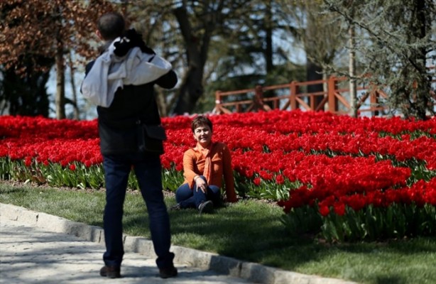Foto - İstanbul lalelerle buluştu