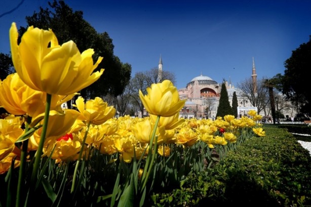 Foto - İstanbul lalelerle buluştu