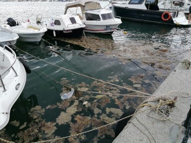 İstanbul Silivri'de endişelendiren görüntü! 'Daha önce böyle bir görüntü görmedik'
