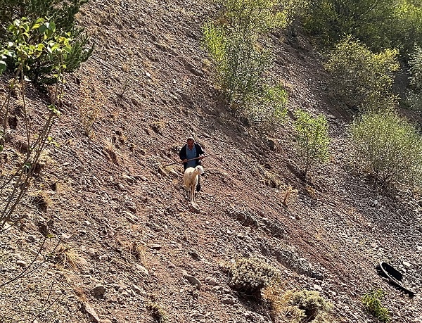 Foto - İstanbul stresinden kaçıp huzuru bu işte buldu