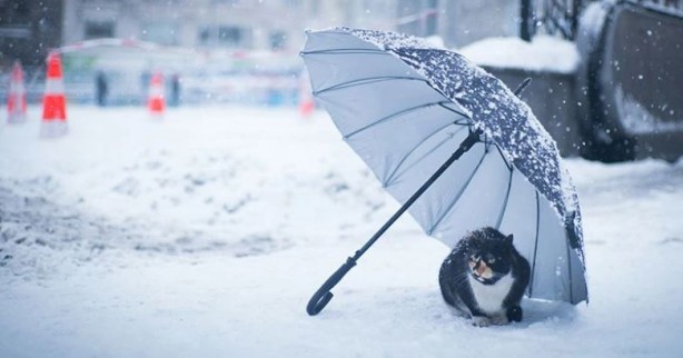 Foto - İstanbul'a kar geliyor: Tarih belli oldu! Kutup soğukları kapıda