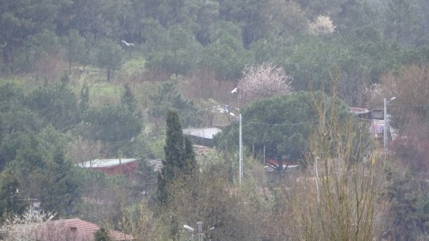 Foto - İstanbul'a Mart ayında kar sürprizi! Beyaza büründü