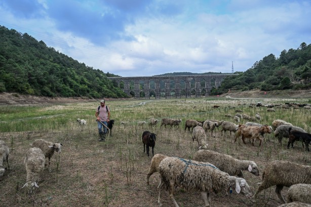 Foto - İstanbul'da barajlar alarm veriyor! İşte baraj doluluk oranında son durum