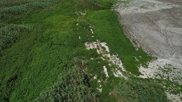 Foto - İstanbul'da barajlar çekildi! Kavurucu sıcaklar tarihi yolu ortaya çıkardı 