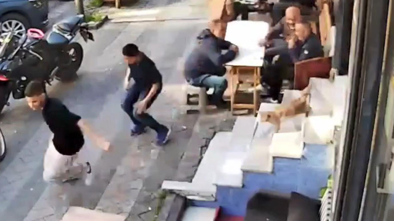 İstanbul'da bir kedi kuaför basıp müşterileri kovaladı