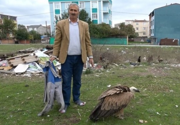 İstanbul'da bulundu: Sadece belgesellerde görüyorduk