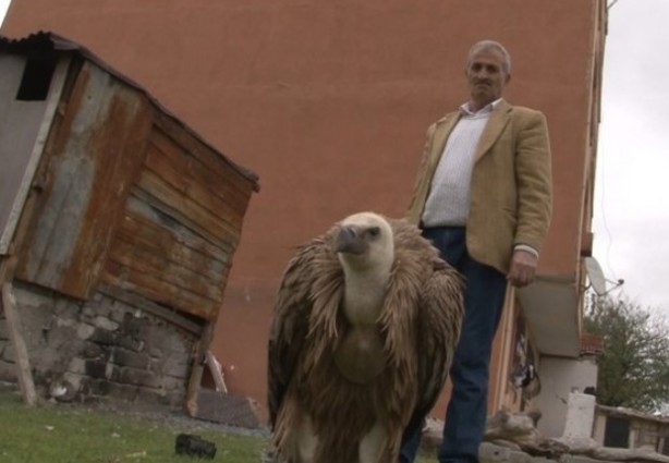 Foto - İstanbul'da bulundu: Sadece belgesellerde görüyorduk