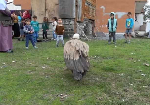 Foto - İstanbul'da bulundu: Sadece belgesellerde görüyorduk