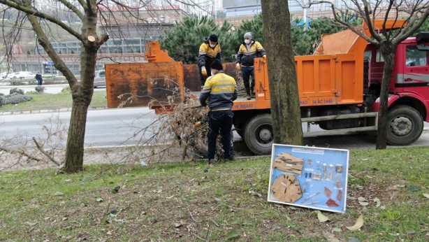 Foto - İstanbul'da büyük tehlike! İstila ettiler