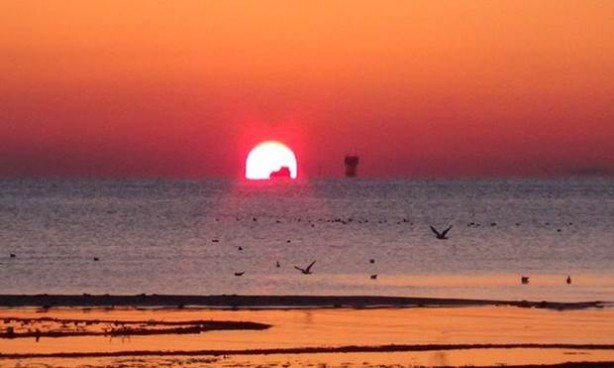 Foto - İstanbul'da deniz 100 metre çekildi!