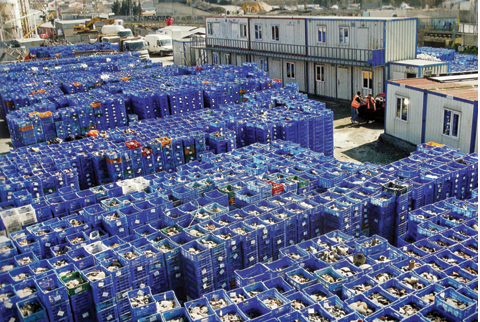 İstanbul'da denizin altında resmen hazine bulundu ama kötü haber verildi! Çalışmalar durma noktasına geldi