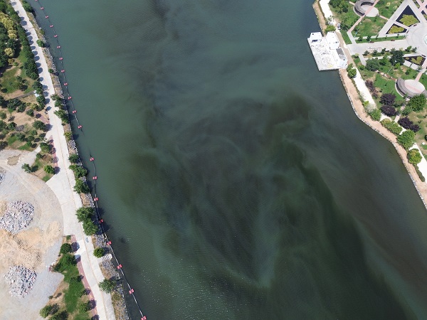 Foto - İstanbul'da içler acısı manzara! Ekrem yine kimseyi şaşırtmadı