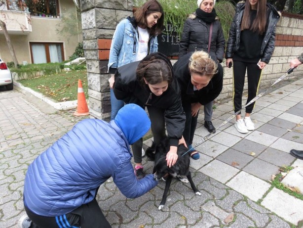 Foto - İstanbul'da köpeğini döven kişiye gözaltı