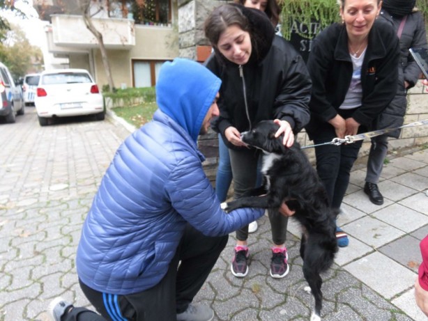 Foto - İstanbul'da köpeğini döven kişiye gözaltı
