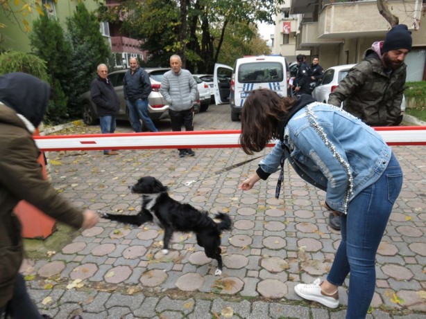 Foto - İstanbul'da köpeğini döven kişiye gözaltı