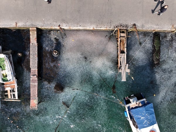 Foto - İstanbul'da korkutan manzara! Her yeri istila ettiler