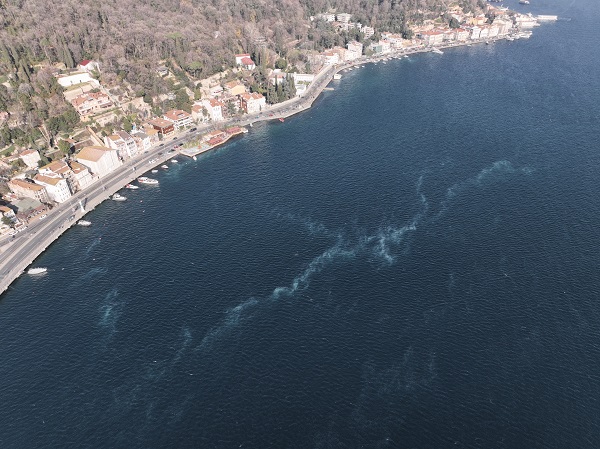 Foto - İstanbul'da korkutan manzara! Her yeri istila ettiler