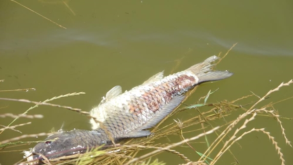 Foto - İstanbul'da korkutan manzara! Vatandaşlar isyan etti