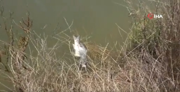 Foto - İstanbul'da korkutan manzara! Vatandaşlar isyan etti