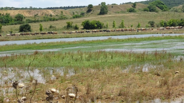 Foto - İstanbul'da korkutan manzara! Vatandaşlar isyan etti