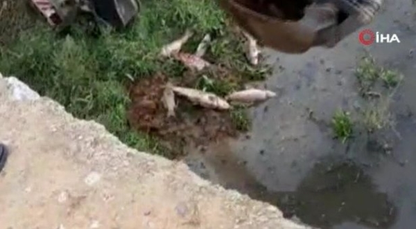 Foto - İstanbul'da korkutan manzara! Vatandaşlar isyan etti