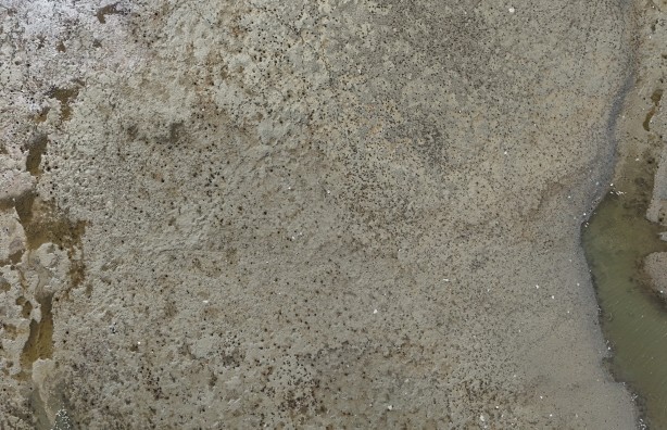 İstanbul'da Kuruyan barajlar piknik alanı oldu