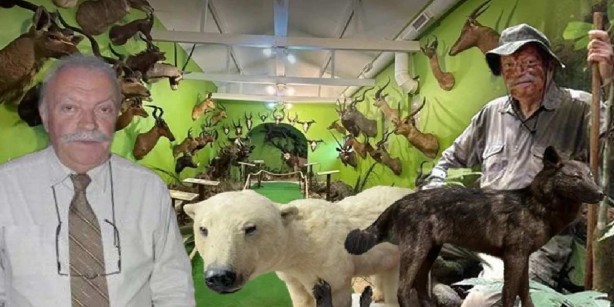 Foto - İstanbul’da o eve giren ekipler büyük şok yaşadı! İçeriden kutup ayısı çıktı! Yakalamak için iki hafta ağaçta yatmış