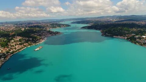 Foto - İstanbul’da plankton patlaması gerçekleşti!