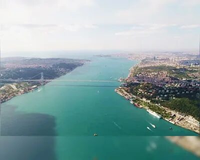 Foto - İstanbul’da plankton patlaması gerçekleşti!