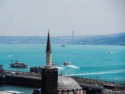 Foto - İstanbul’da plankton patlaması gerçekleşti!