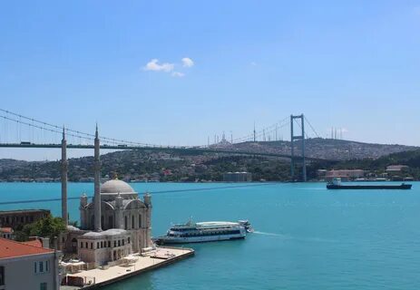Foto - İstanbul’da plankton patlaması gerçekleşti!