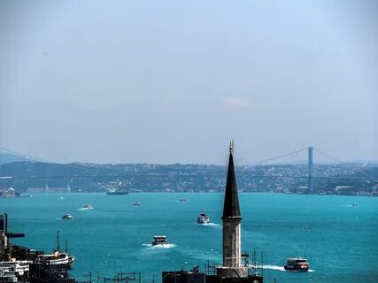 Foto - İstanbul’da plankton patlaması gerçekleşti!