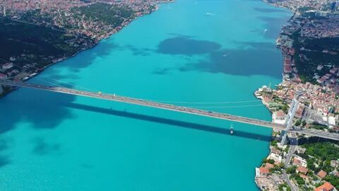 Foto - İstanbul’da plankton patlaması gerçekleşti!