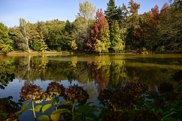 Foto - İstanbul’da sonbahar renkleri 