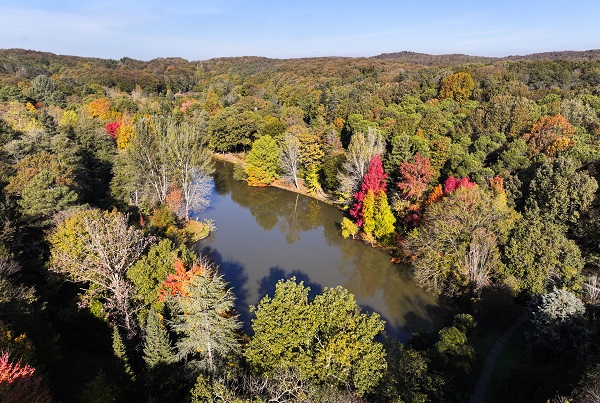 Foto - İstanbul’da sonbahar renkleri 